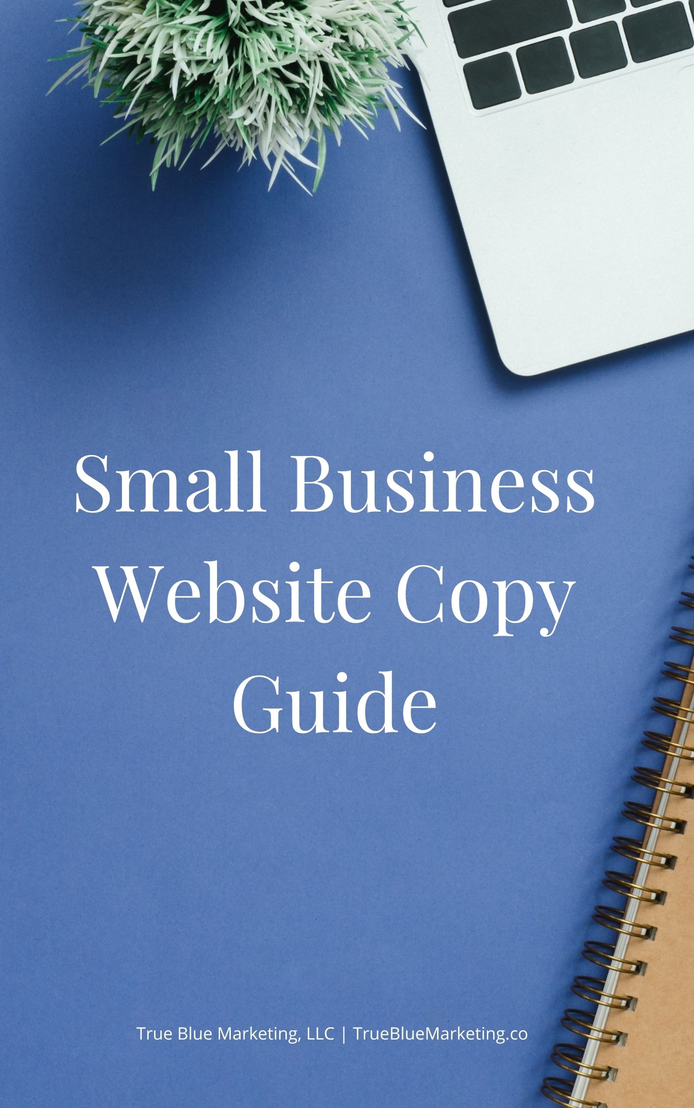 Cover of the Small Business Website Copy Guide
