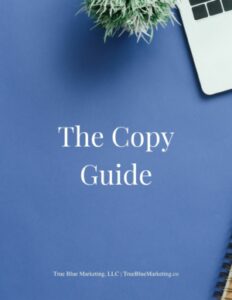 Small Business Website Copy Update Guide cover