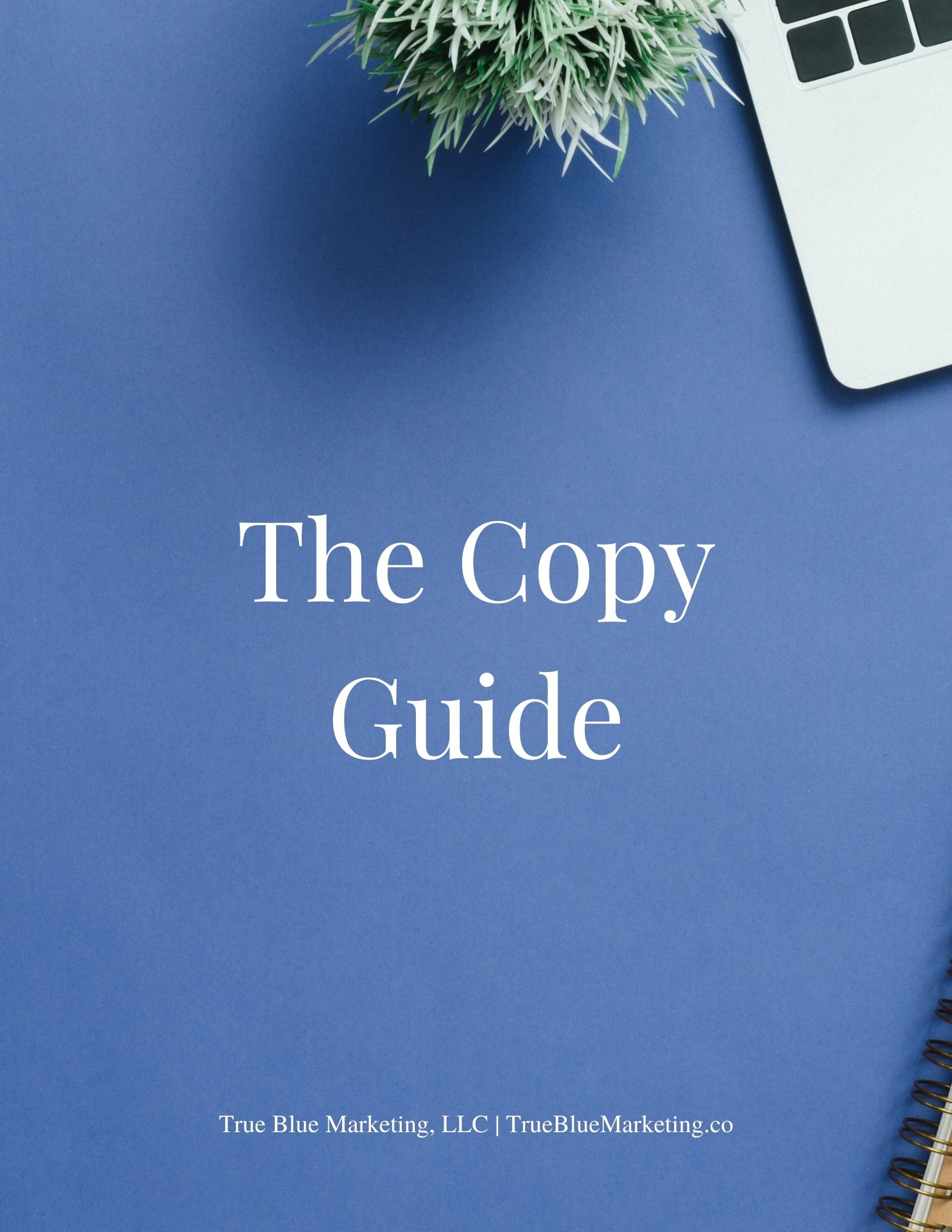 Small Business Website Copy Update Guide cover